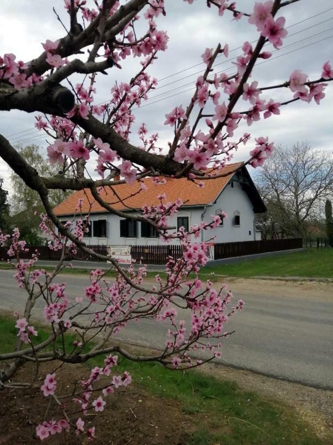 Отель Szentgyoergyvoelgy Vendeghaz Orseg Szentgyorgyvolgy Экстерьер фото